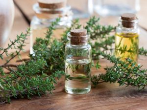 Using Essential Oils with Honeybees - Thyme Oil