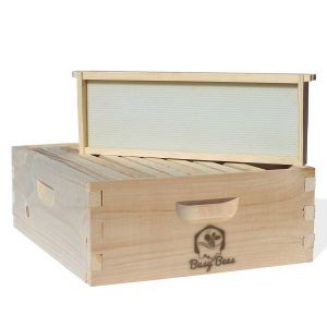 Busy Bee’s -n- More Complete Langstroth Beehive Kit