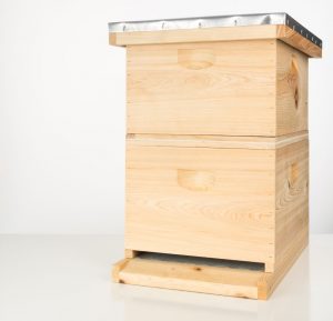 Beginner Beekeeping Mistakes - Beginning with a Single Hive