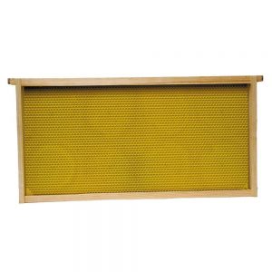 Best Bee Hive Frames for Sale - Harvest Lane Honey 5-Pack Deep Bee Frames