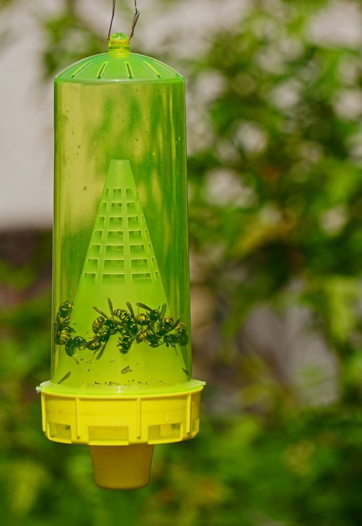  Protéger les Abeilles Mellifères des Gilets Jaunes - Contrôler les Populations