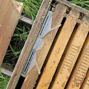 Best Hive Beetle Traps - Foxhound Bee Company Small Hive Beetle Oil Traps