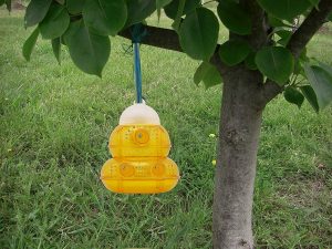 Best Yellow Jacket Traps - PIC Yellow Jacket Wasp & Hornet Trap 276