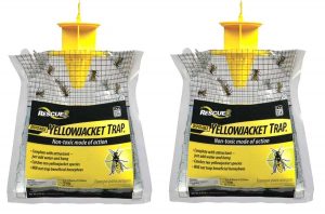 Best Yellow Jacket Traps - RESCUE YJTD-W Yellow Jacket Trap