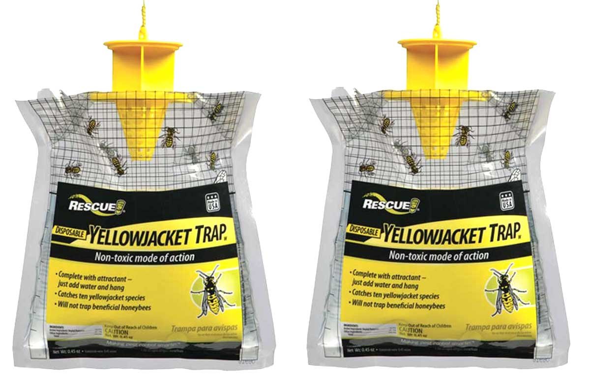 Yellow Jacket Traps and Baits for Beekeeping