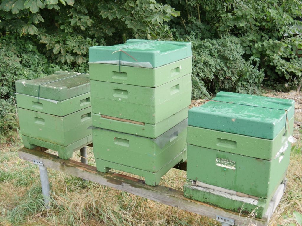 Plastic Beehives vs Wooden Beehives