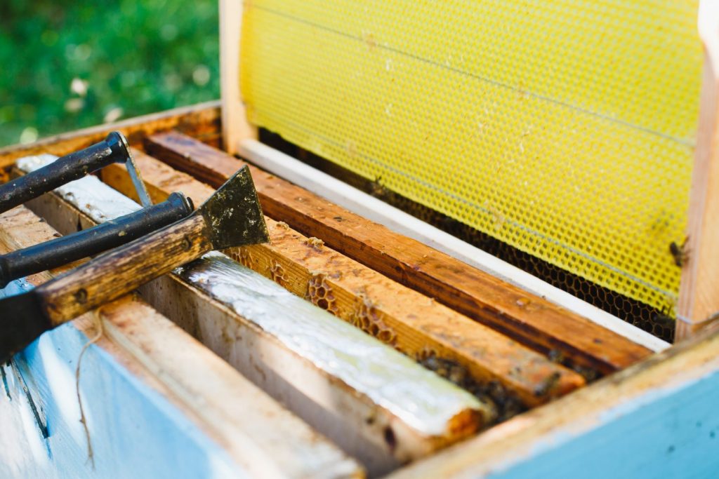 Plastic vs Wooden Beehive Frames