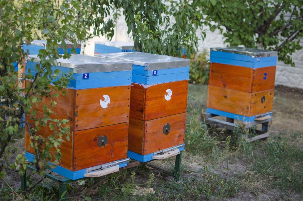 Plastic Beehives vs Wooden Beehives