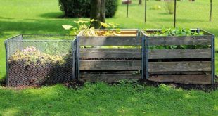 Does Compost Attract Bees