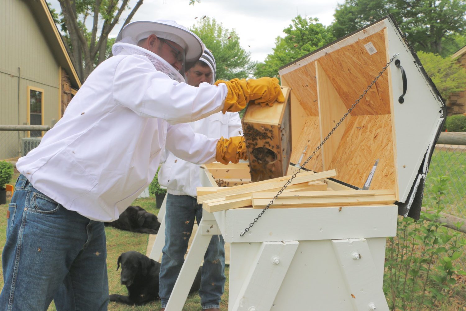 Top Bar Beekeeping for Beginners