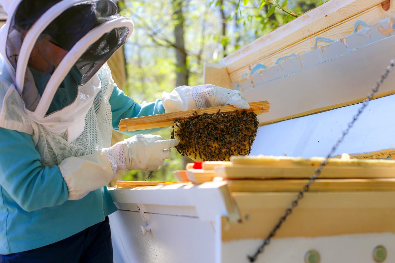 Beekeeping honeylove crowder