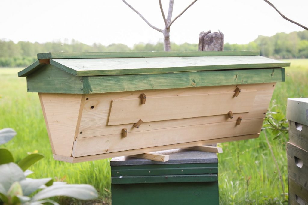 Top Bar Beekeeping for Beginners - Top Bar Hive