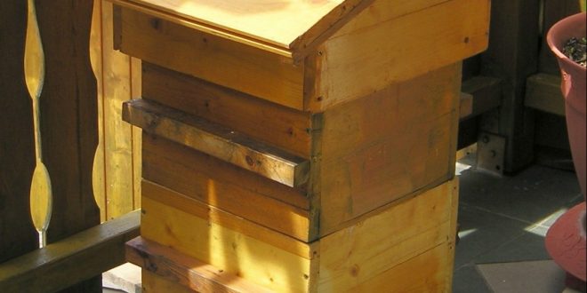 The Warre Hive The Beginner S Introduction Beekeepclub