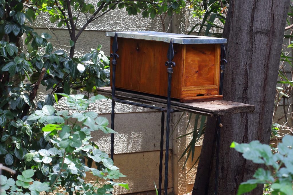 Catch a Swarm of Bees - Luring Bees to a New Hive