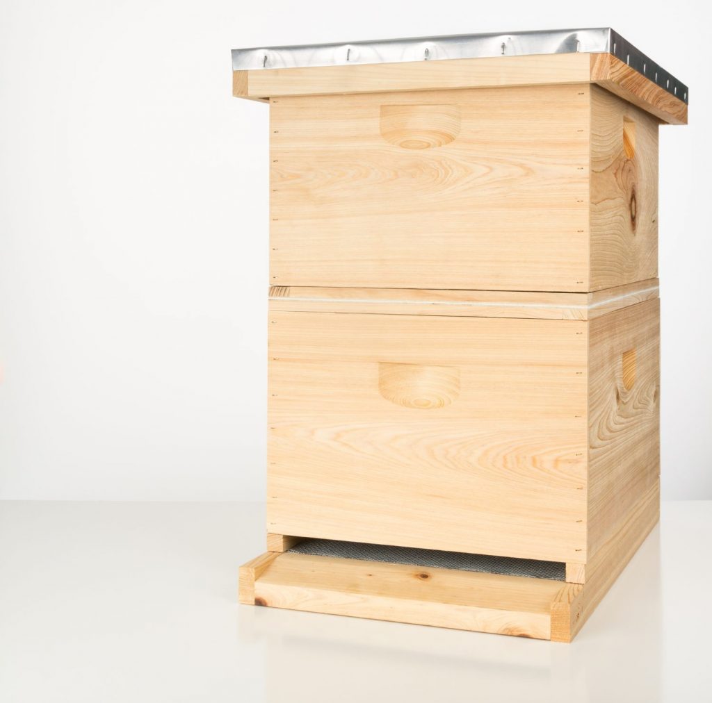Beehive Comparison - The Langstroth Hive