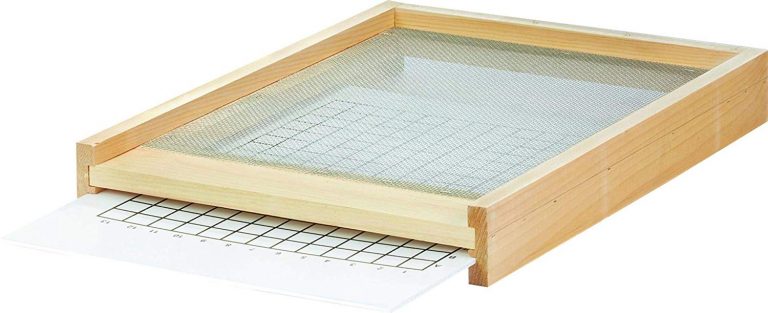 Langstroth Beehive Solid Bottom Board With Entrance Reducer | 10 Frame | Honey Run Apiaries