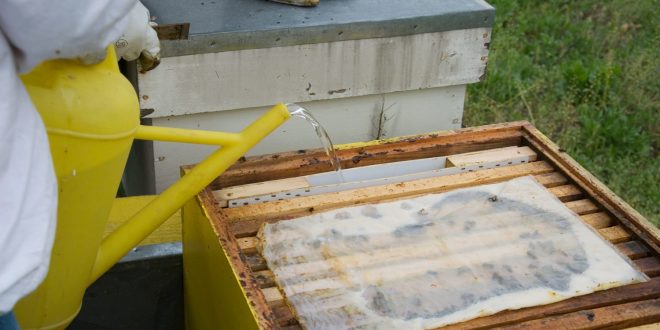 How To Make A Homemade Bee Feeder Beekeepclub