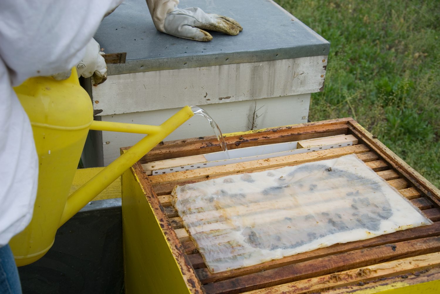 How To Make A Homemade Bee Feeder Beekeepclub