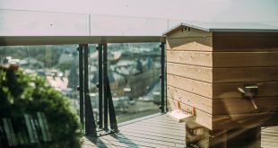 Urban Rooftop Beekeeping
