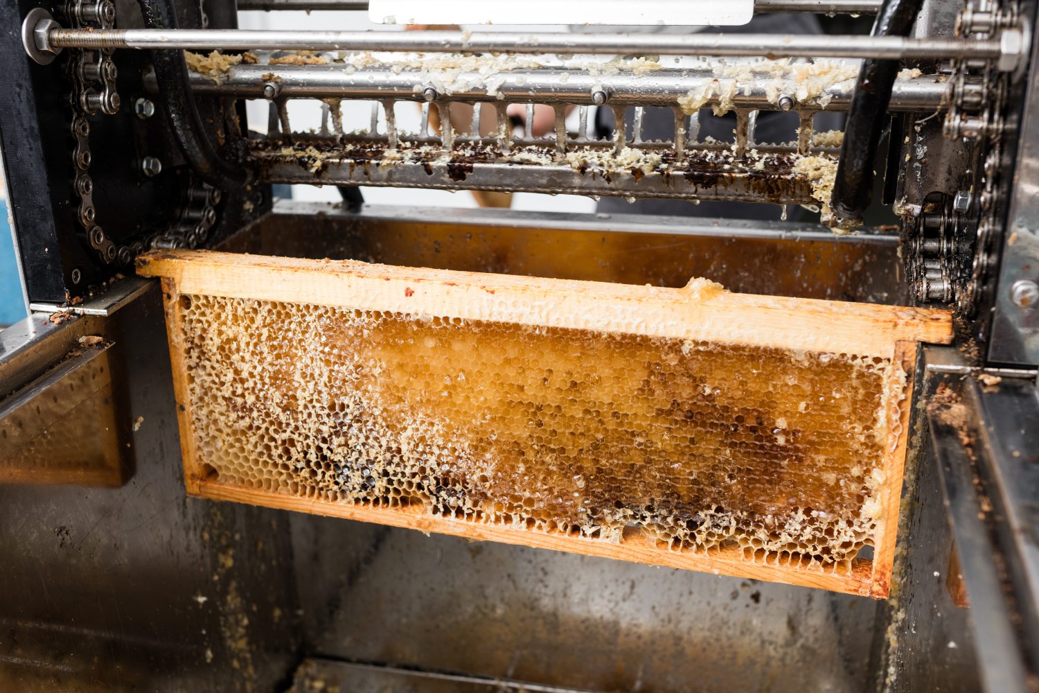Details about   Beekeeping Bee Comb Plastic Uncapping Needle Roller Extracting Honey Equipment 
