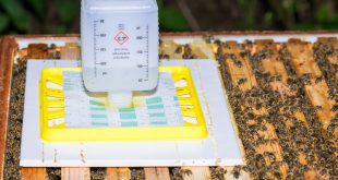 Formic Acid Treatment for Honey Bees