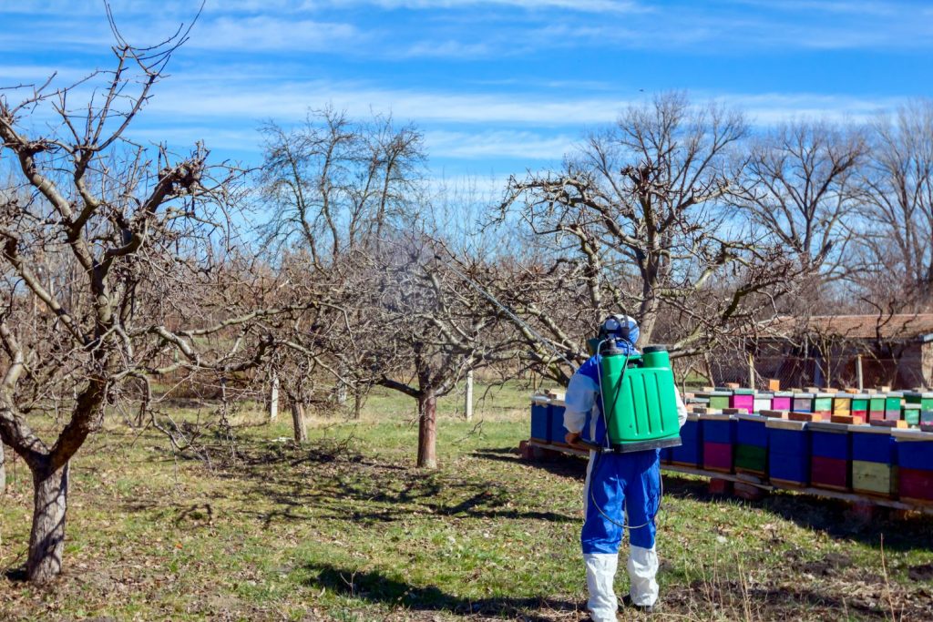 Formic Acid vs Oxalic Acid - Applying Treatments for Varroa Mite Control