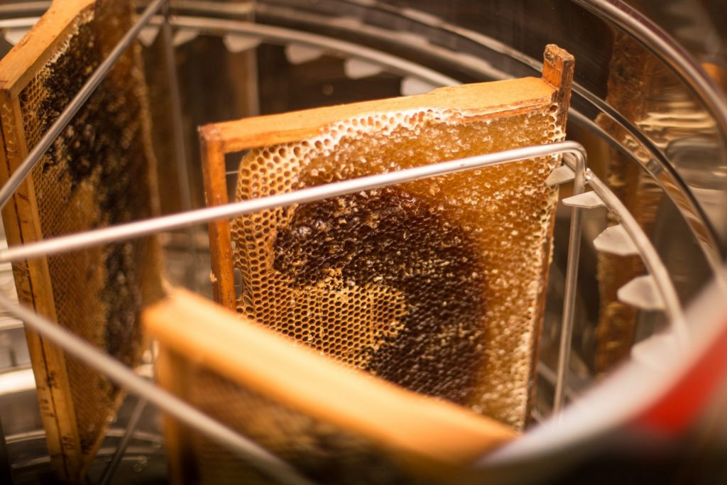 Harvest Honey from Langstroth Beehives