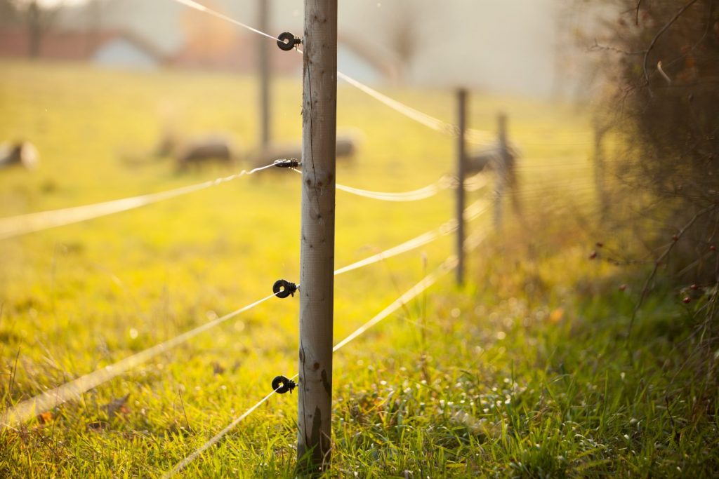 How to Install an Apiary Electric Fence for Bears