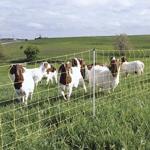 Best Apiary Electric Fence - Premier Electric Goat Net Fence