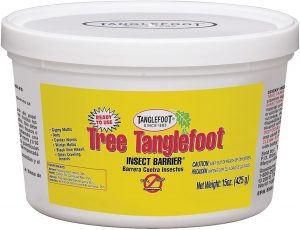 Protect Honey Bees from Ants - Tanglefoot Tree Insect Barrier Tub