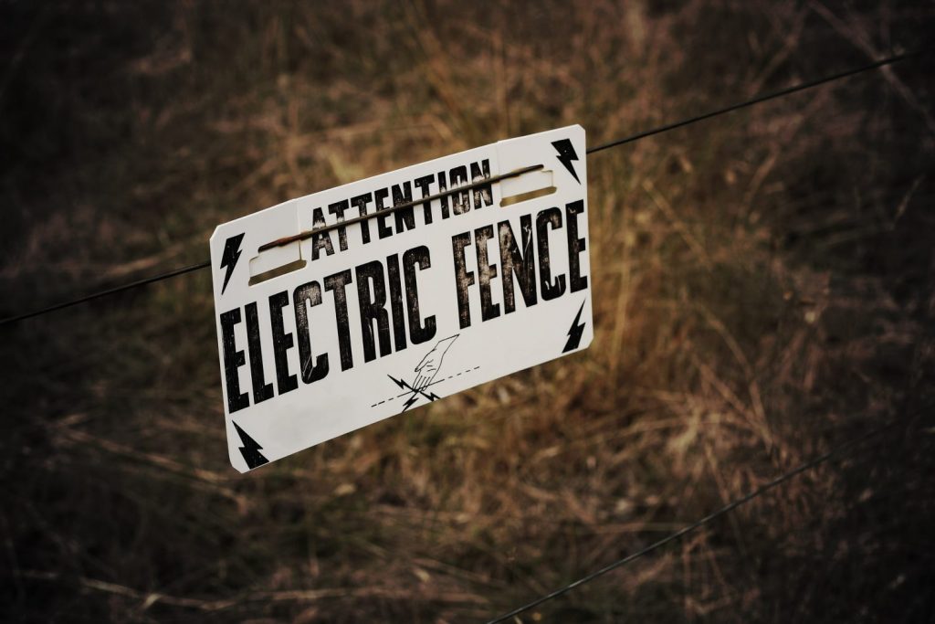 How to Build an Electric Fence for Bears