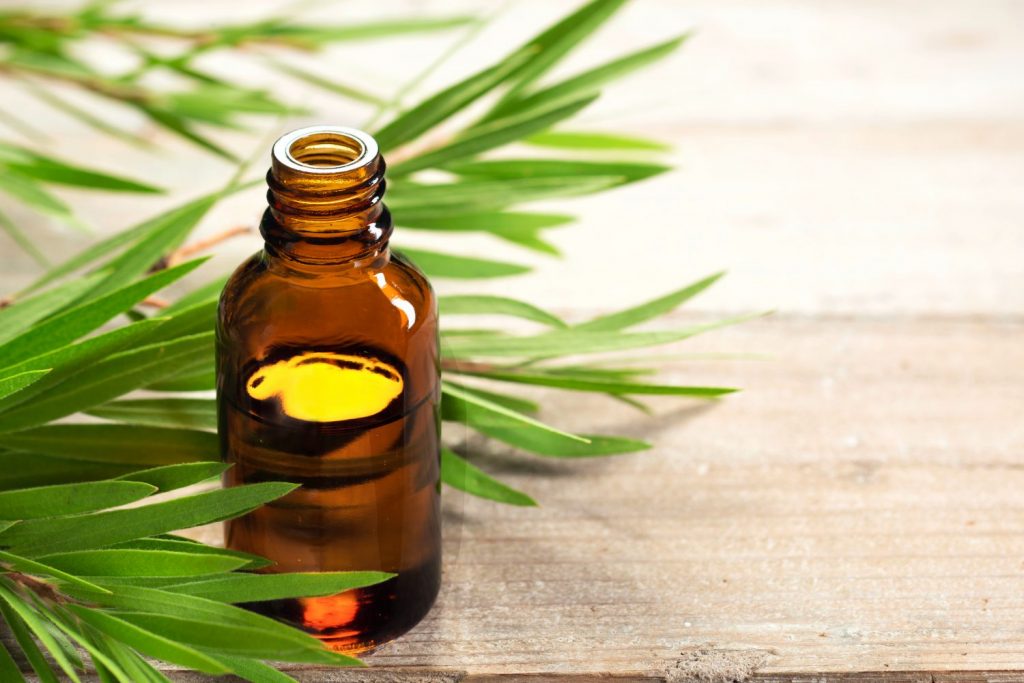 Nosema Treatment for Honey Bees - Tea Tree Oil
