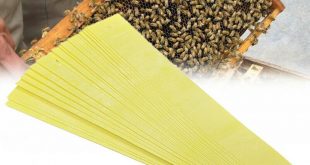 Fluvalinate for Varroa Mite Treatment