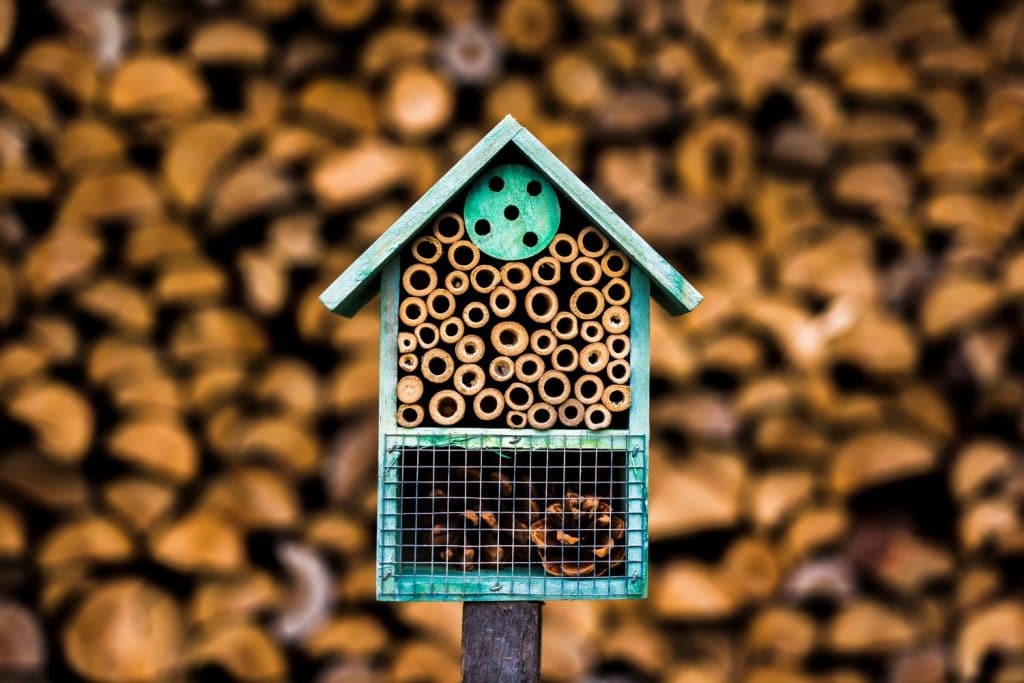 How to Raise Mason Bees - Place the House at a Suitable Location