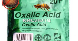 Pure Powder Oxalic Acid for Varroa Mite Treatment