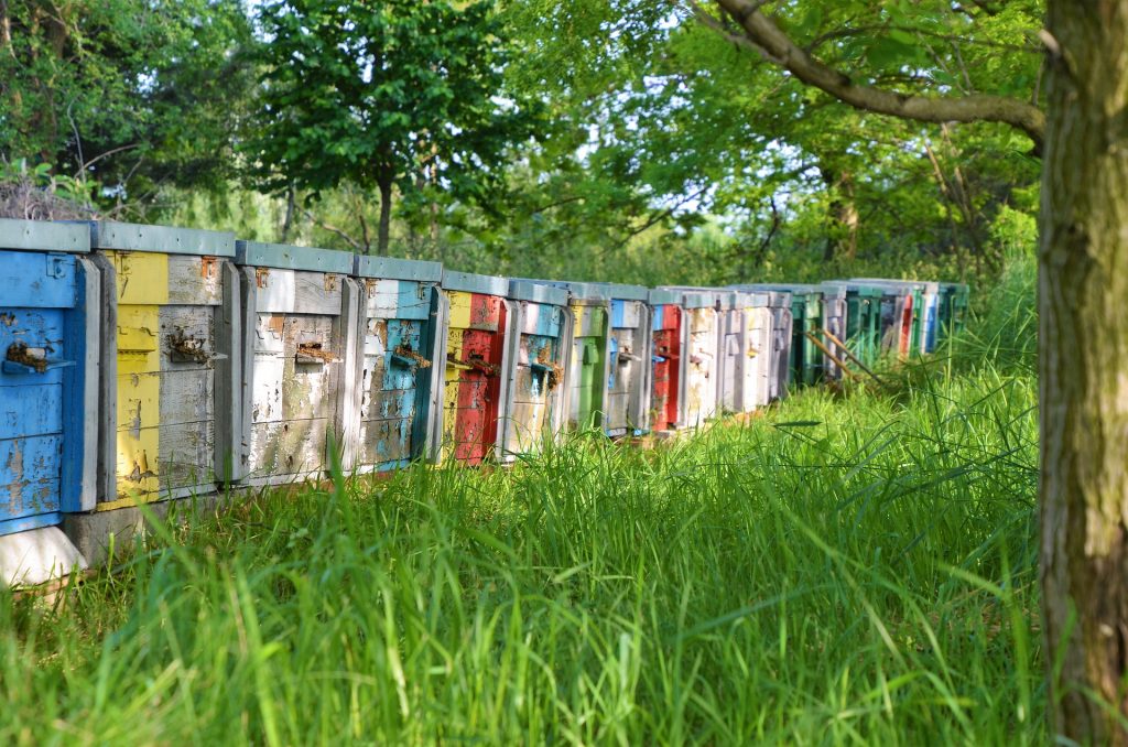 Beekeeping Barrier Management System