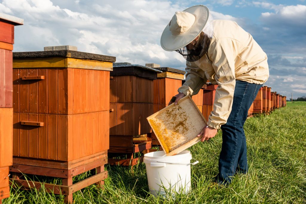 Beehive Management Practices - BeeKeepPal Apiary Management