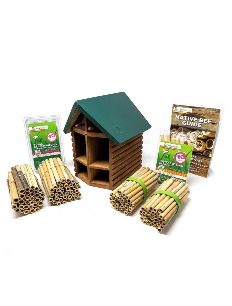 Cabin Bee House Kits with Bees