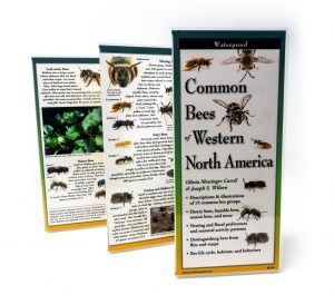 Best Books on Keeping Mason Bees - Common Bees of Western North America - Identification Guide