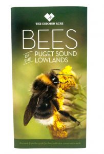 Best Books on Keeping Mason Bees - Field Guide - Bees of the Puget Sound Lowlands