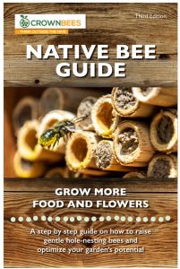 Best Books on Keeping Mason Bees - Native Bee Guide