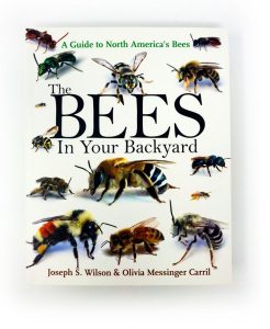 The Bees In Your Backyard - The Bees In Your Backyard