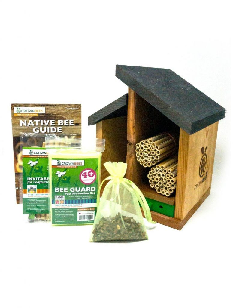 Townhouse Bee House Kits – Black Roof with Bees