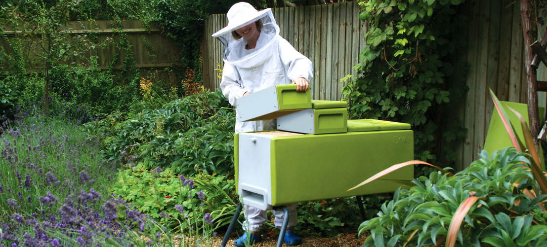 Beehaus Beekeeper