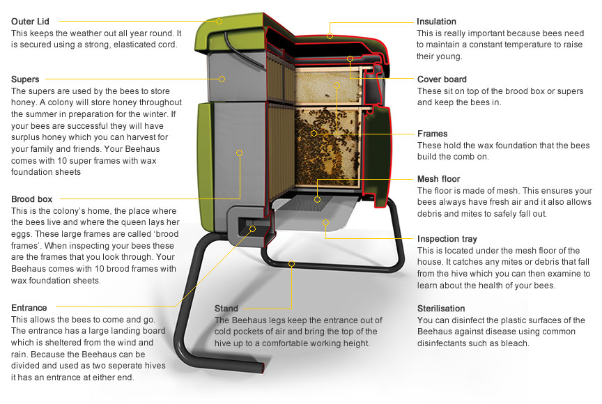 Beehaus Beehive Components