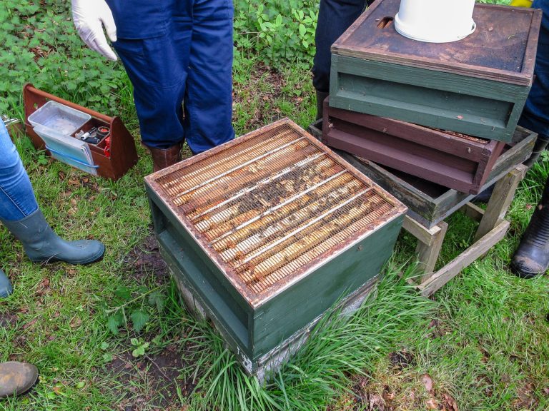 When and How to Store Honey Supers Safely - BeeKeepClub