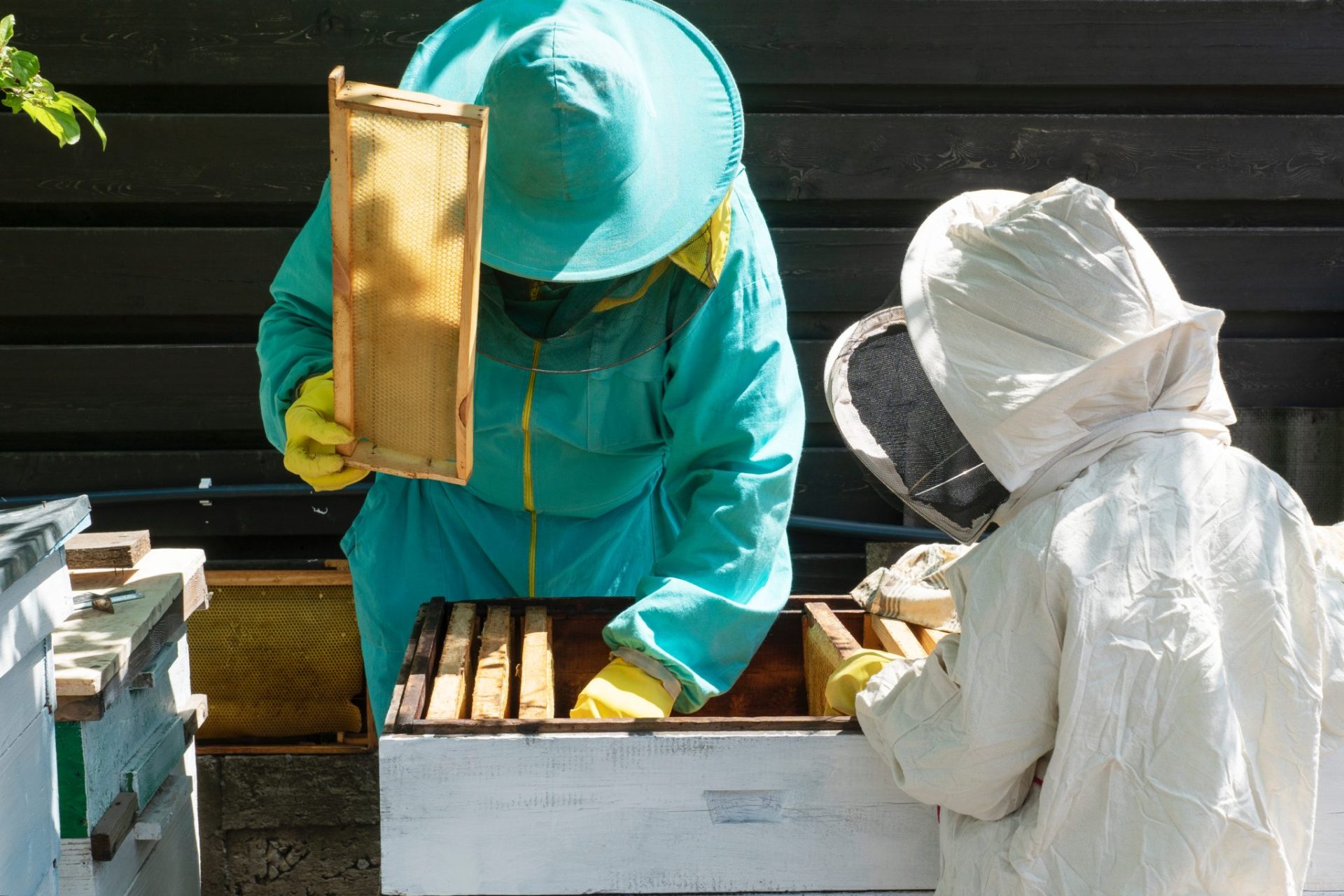 III. Essential Beekeeping Tools for Equipment Maintenance