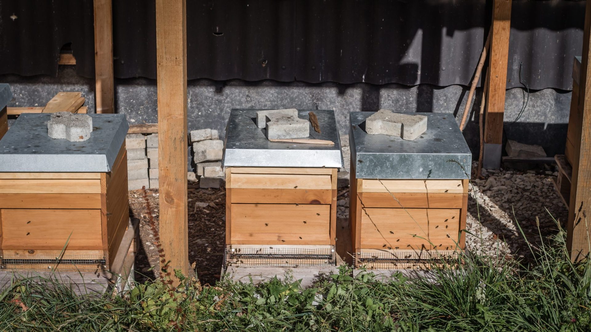 Beehive Maintenance