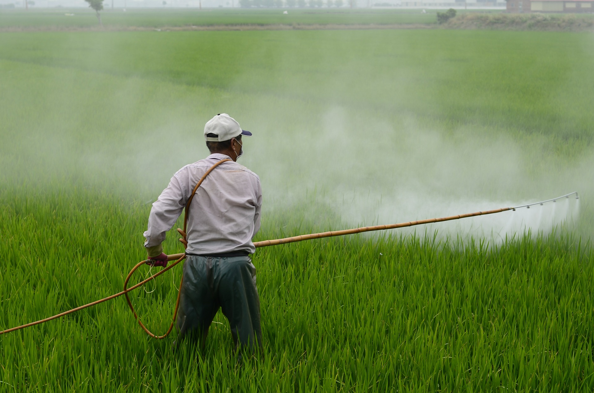 Pesticide Use and Pollination