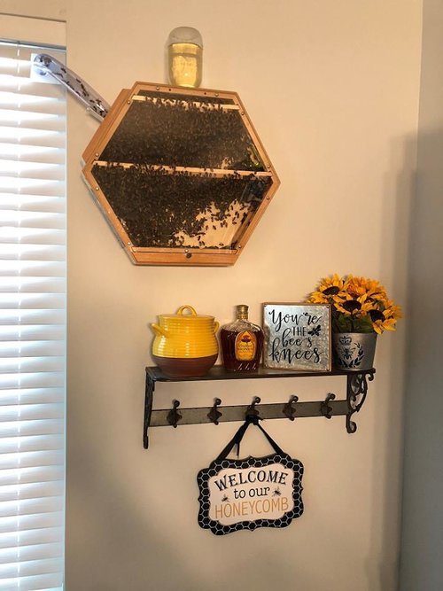 Indoor Beekeeping - Indoor Hive